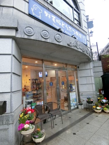 病院　野毛坂どうぶつ病院（病院）まで187m