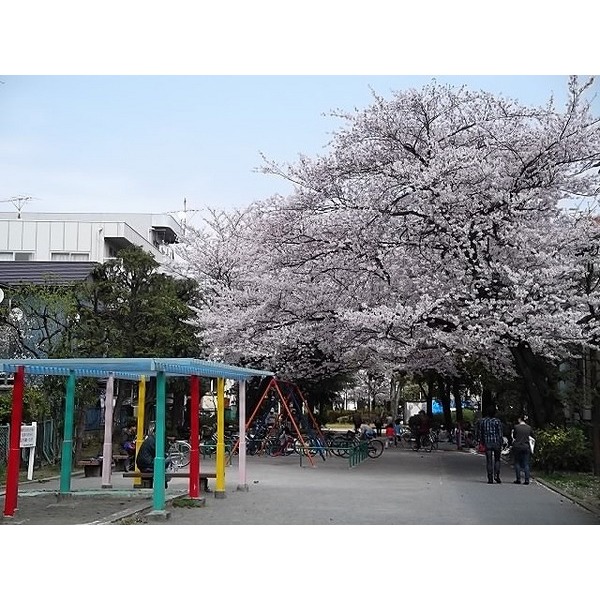 公園　旧呑川緑地（公園）まで677m