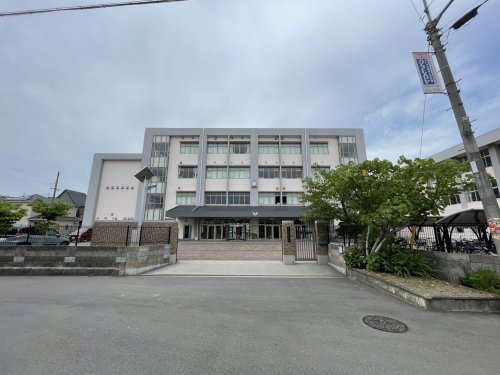 中学校　八尾市立大正中学校（中学校）まで893m