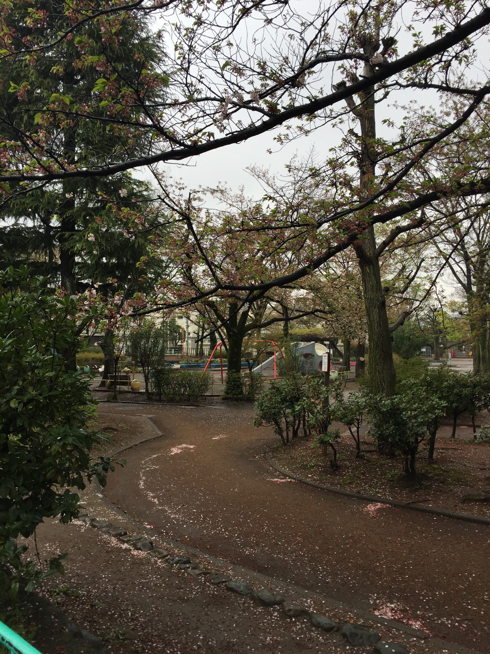 公園　代々木大山公園（公園）まで840m