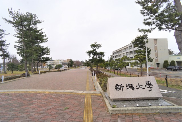 大学・短大　新潟大学敷地　正面（大学・短大）まで512m