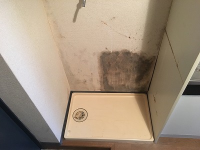洗面設備　室内洗濯機置場