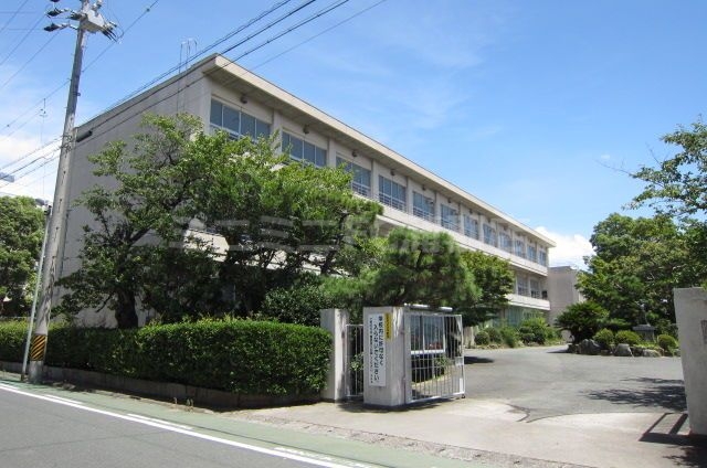 小学校　蒲郡市立蒲郡南部小学校（小学校）まで494m