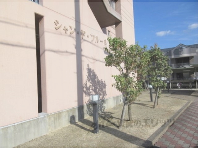 その他　植栽