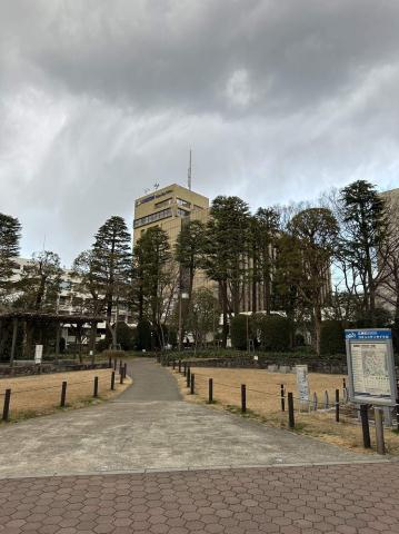 役所　江東区役所（役所）まで800m