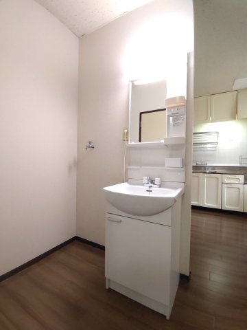 洗面設備　※写真は別部屋です