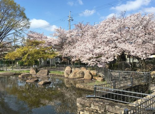 公園　久保公園（公園）まで550m
