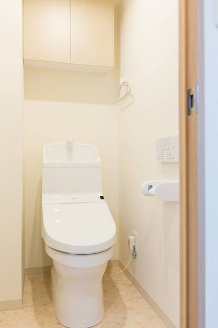 トイレ　トイレも気になるポイント