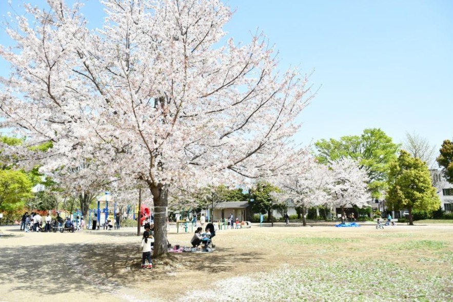公園　西ヶ原みんなの公園（公園）まで337m