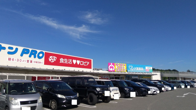 スーパー　ロピア　福岡新宮店（スーパー）まで1100m