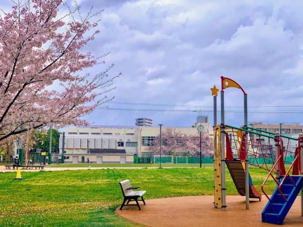 公園　中野区立南台いちょう公園（公園）まで731m