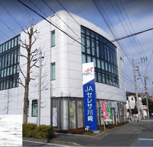 銀行　ＪＡセレサ川崎日吉支店（銀行）まで450m