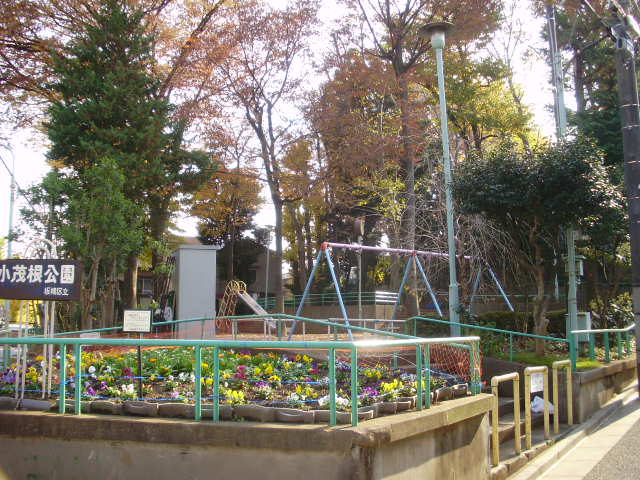 公園　小茂根公園（公園）まで250m