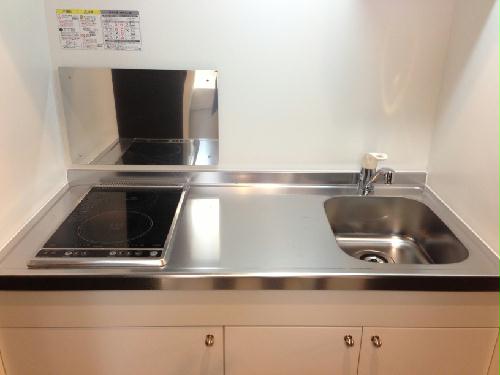 キッチン　IHヒーターと電気コンロの2口タイプ