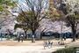 公園　堀江公園（公園）まで230m