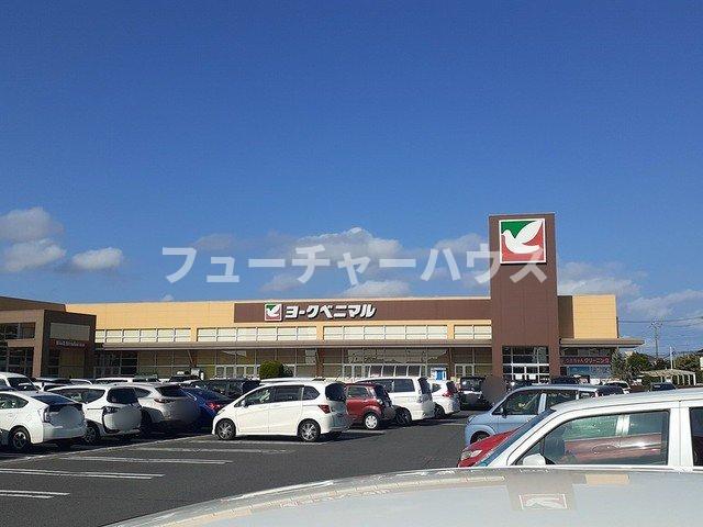 その他　ヨークベニマル　赤塚店まで650m