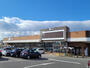 スーパー　ドミー 新川店（スーパー）まで477m