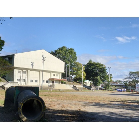小学校　小諸市立野岸小学校（小学校）まで1183m
