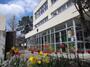 小学校　中央小学校（小学校）まで982m