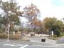 公園　東葛西どんぐり公園（公園）まで404m