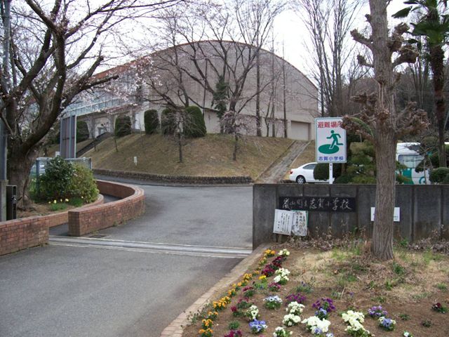 小学校　嵐山立志賀小学校（小学校）まで1031m