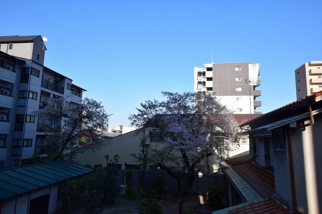 眺望