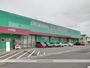 ドラックストア　コスモス大門店（ドラッグストア）まで1300m