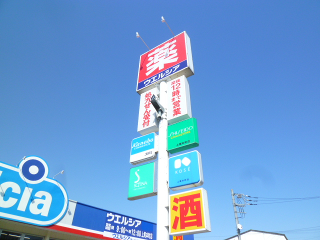 ドラックストア　ウエルシア上尾大谷本郷店（ドラッグストア）まで787m