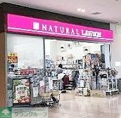 コンビニ　ナチュラルローソン昭和大学江東豊洲病院店（コンビニ）まで810m