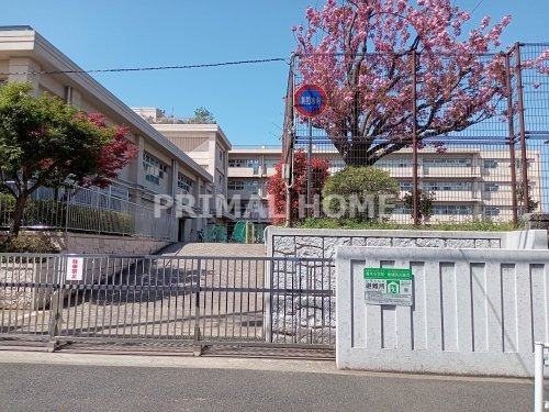 小学校　横浜市立青木小学校（小学校）まで430m