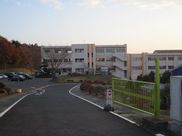 小学校　大宮西小（小学校）まで0m