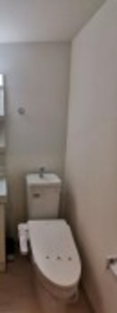 ザ・リッツ王子駅前のトイレ写真