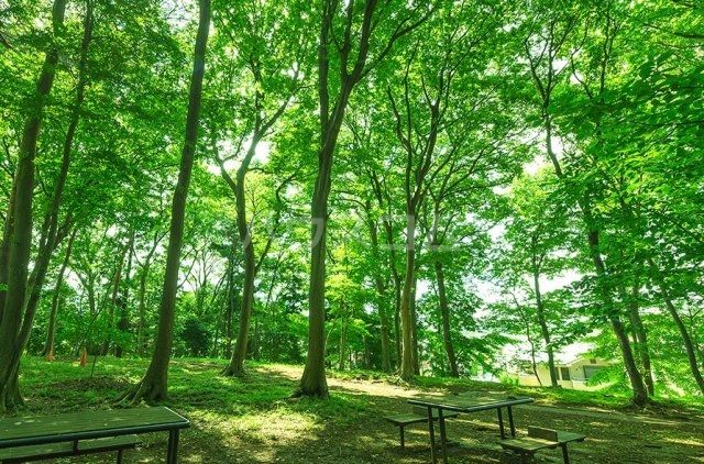 公園　松ヶ丘ふるさと公園（公園）まで824m