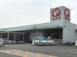 ホームセンター　コメリ　児玉店（ホームセンター）まで600m