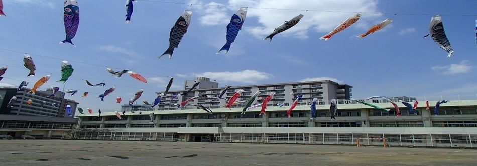 小学校　国領小学校（小学校）まで636m