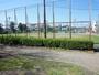 公園　紫原中央公園（公園）まで550m