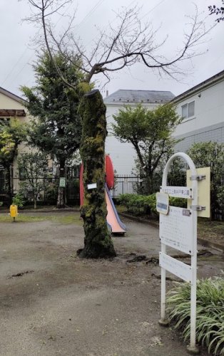 公園　上高井戸東公園（公園）まで978m