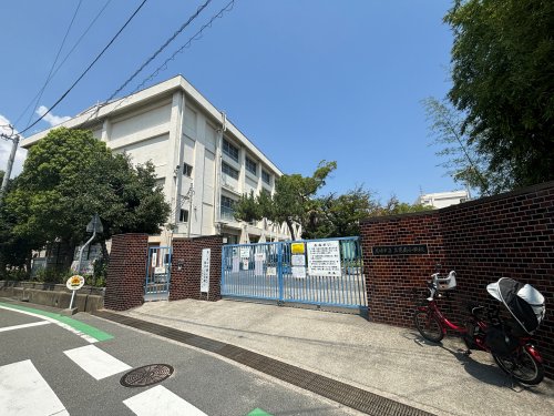 小学校　尼崎市立立花南小学校（小学校）まで350m