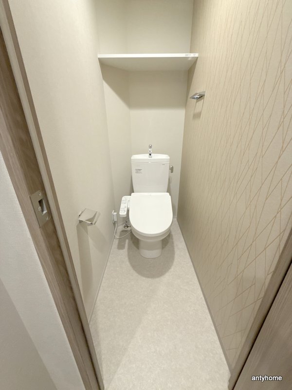 ミラージュパレス新梅田Cieloのトイレ写真