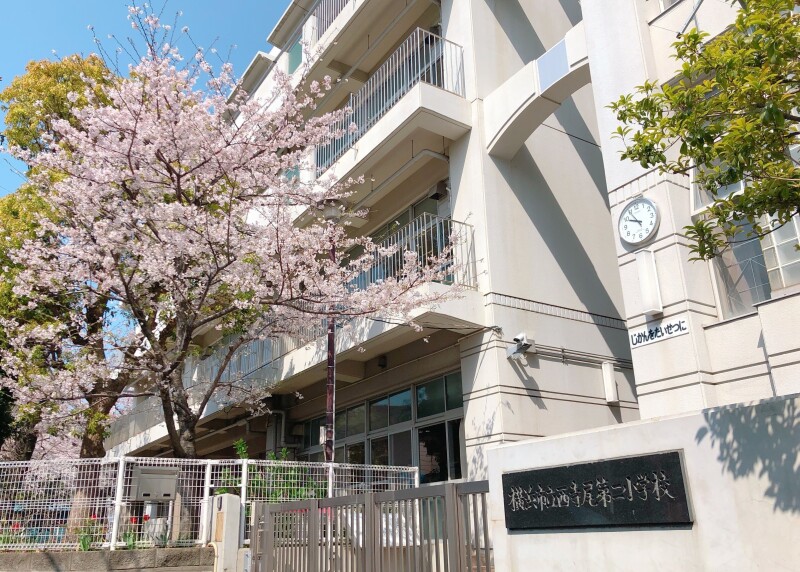 東急東横線 妙蓮寺駅 徒歩18分 2階建 築55年の周辺写真