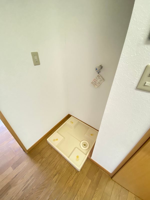 リトルシャインのその他写真