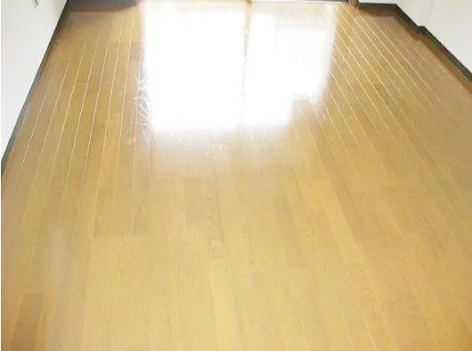 ラグジュアリーアパートメント両国の内装写真