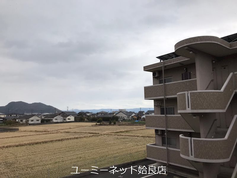ウエストコーストのその他写真