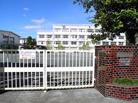 小学校　世田谷区立城山小学校（小学校）まで575m