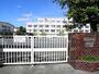小学校　世田谷区立城山小学校（小学校）まで575m