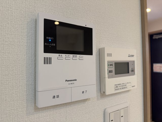 トシタマテのその他写真