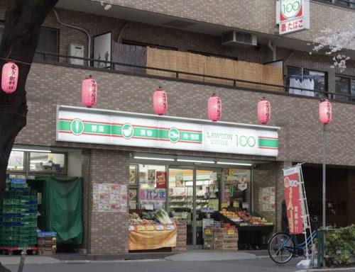 グランパセオ中野新井薬師前の周辺写真