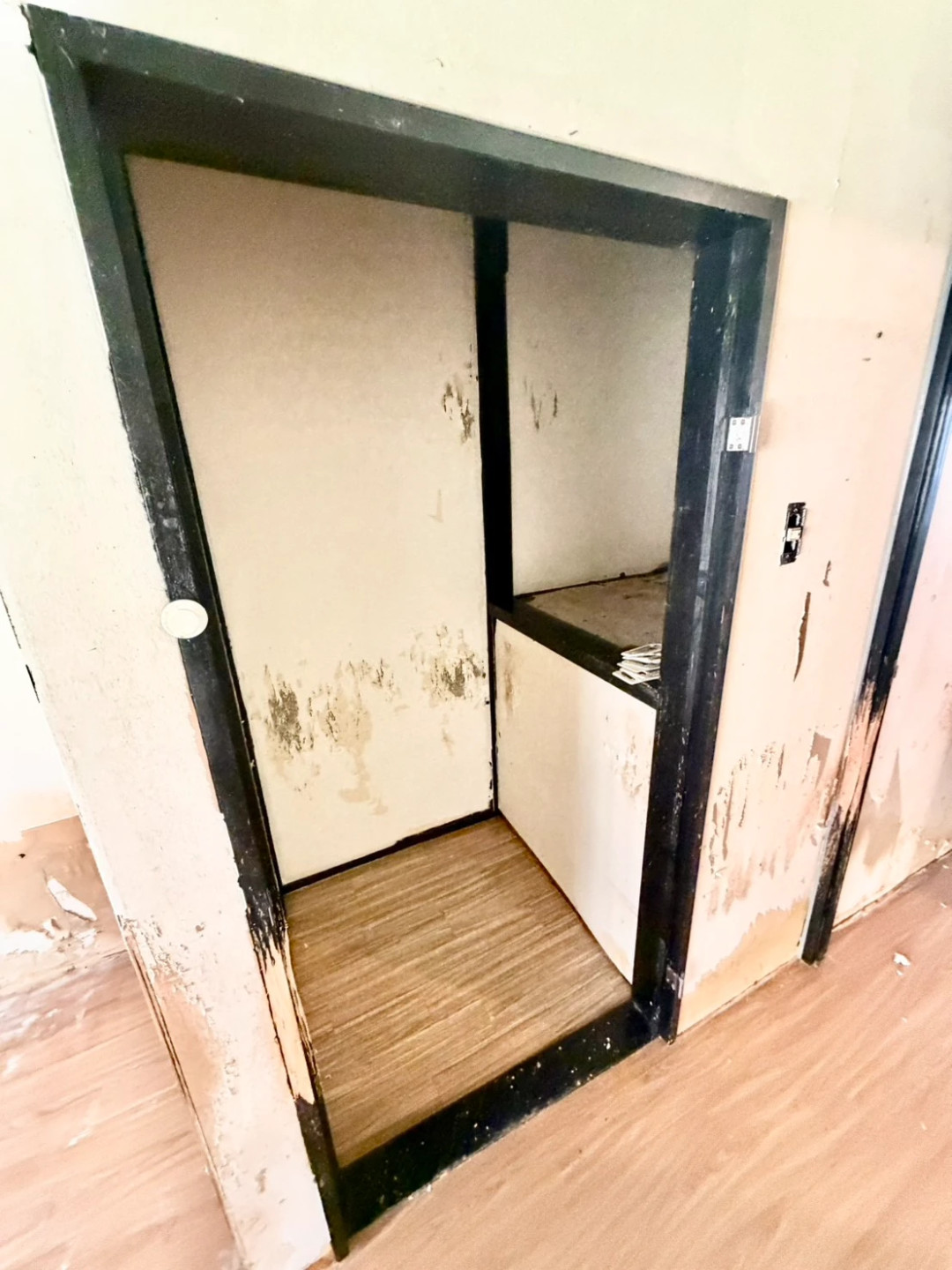 服部南町3丁目戸建の内装写真