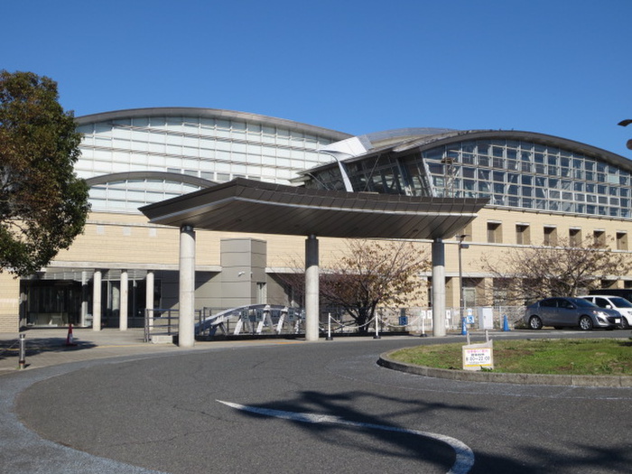 公園　潮風アリーナ（公園）まで800m