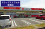 ドラックストア　ドラッグストアセキ栗橋店（ドラッグストア）まで895m
